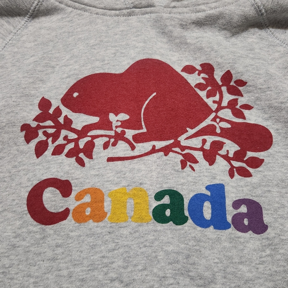 Roots Kids Gray Hoodie - Picture 2 of 5